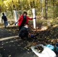 Экологический субботник в центре